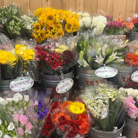 Meet your Posher, Sheisy - Picture 1 of 1